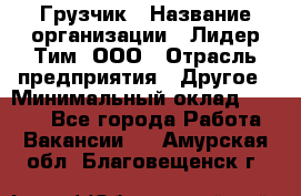 Грузчик › Название организации ­ Лидер Тим, ООО › Отрасль предприятия ­ Другое › Минимальный оклад ­ 6 000 - Все города Работа » Вакансии   . Амурская обл.,Благовещенск г.